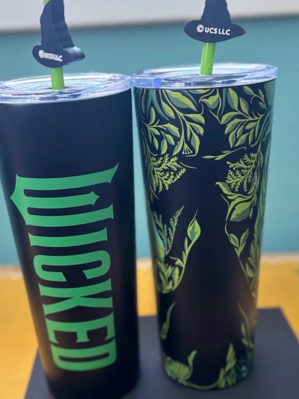 Wicked Universal Elphaba Stainless Tumbler - Pick 1 or bundle to save - Picture 3 of 11